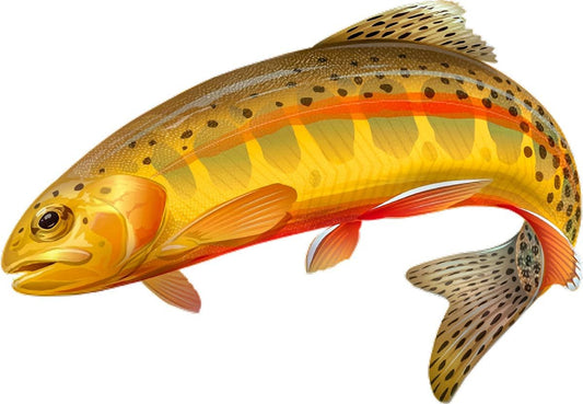 Golden Trout Fish Fishing Color Decal 6x5.5 Laminated Car Boat Camper RV Truck