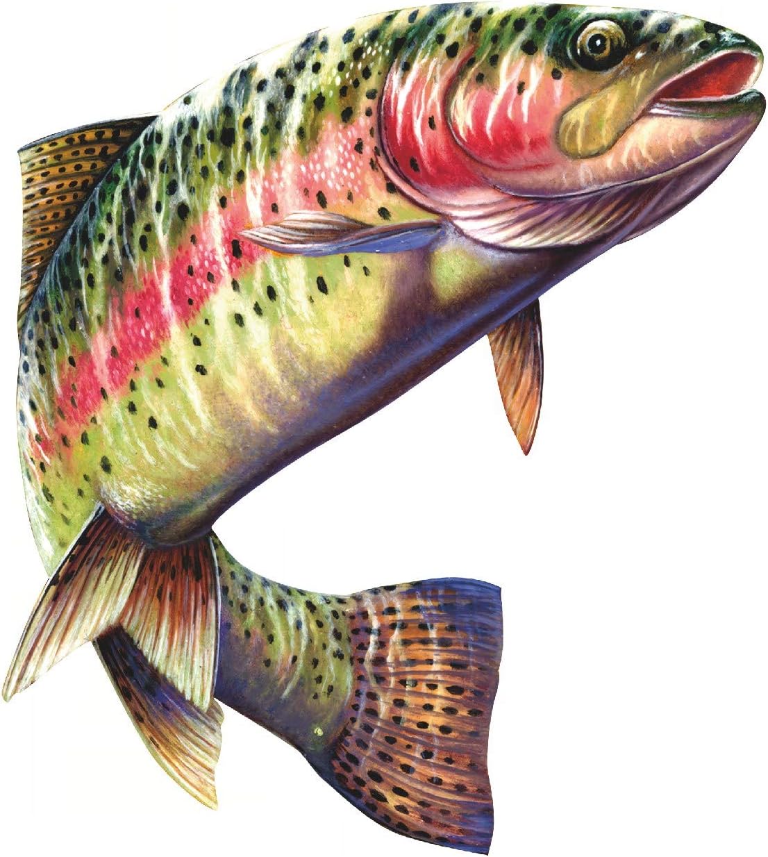 Rainbow Trout Fish Fishing Color Decal 6x5.5 Car Boat Camper RV Truck Laminate Air Release Vinyl