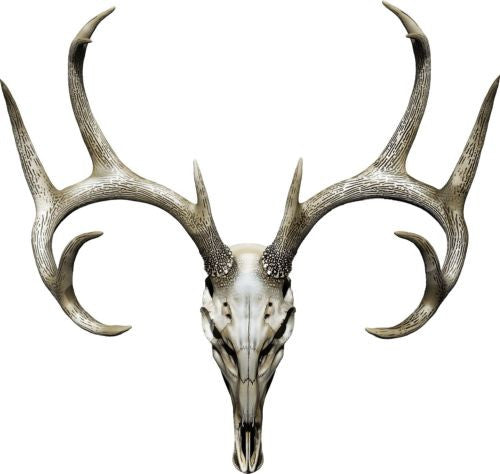Buck Skull Hunting Color  Decal 12x11.25" Boat, Car, Camper, Truck Decal